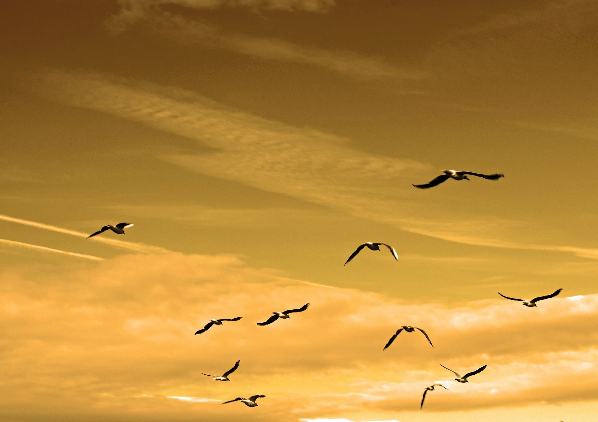 It's Time to Fly